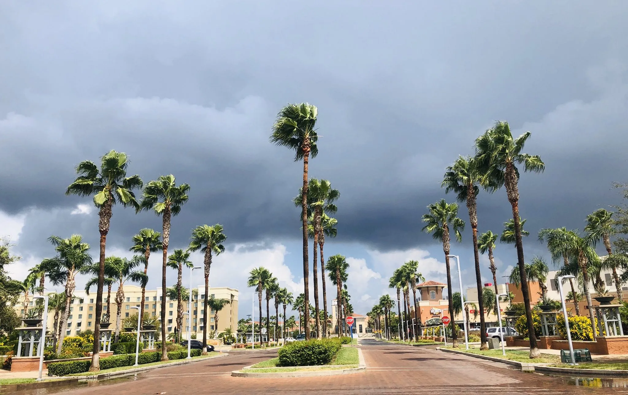 Commercial roof planning in McAllen