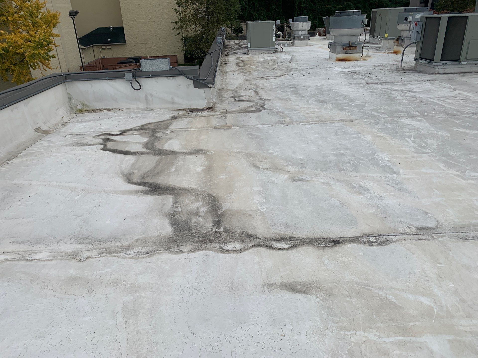 Hurricane Season Roof Prep
